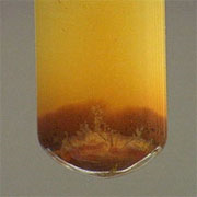 Yogi Dye Chem Industries and Pharmaceuticals Company manufacturers, exporters and importers of Pharmaceutical Raw Materials, Bulk Drugs, Veterinary Feed Additives and Chemicals fine and all Metallic salts.