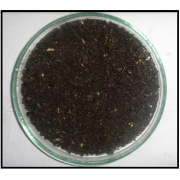 Yogi Dye Chem Industries and Pharmaceuticals Company manufacturers, exporters and importers of Pharmaceutical Raw Materials, Bulk Drugs, Veterinary Feed Additives and Chemicals fine and all Metallic salts.
