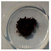 Yogi Dye Chem Industries and Pharmaceuticals Company manufacturers, exporters and importers of Pharmaceutical Raw Materials, Bulk Drugs, Veterinary Feed Additives and Chemicals fine and all Metallic salts.