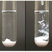 Yogi Dye Chem Industries and Pharmaceuticals Company manufacturers, exporters and importers of Pharmaceutical Raw Materials, Bulk Drugs, Veterinary Feed Additives and Chemicals fine and all Metallic salts.